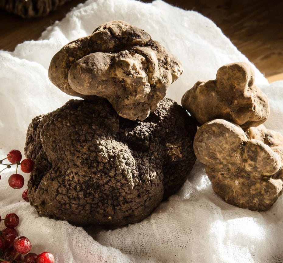 Tartufo
