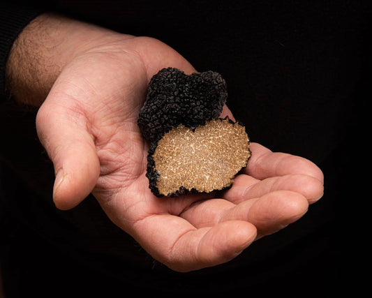 Tartufo nero estivo(Tuber aestivum vitt.)