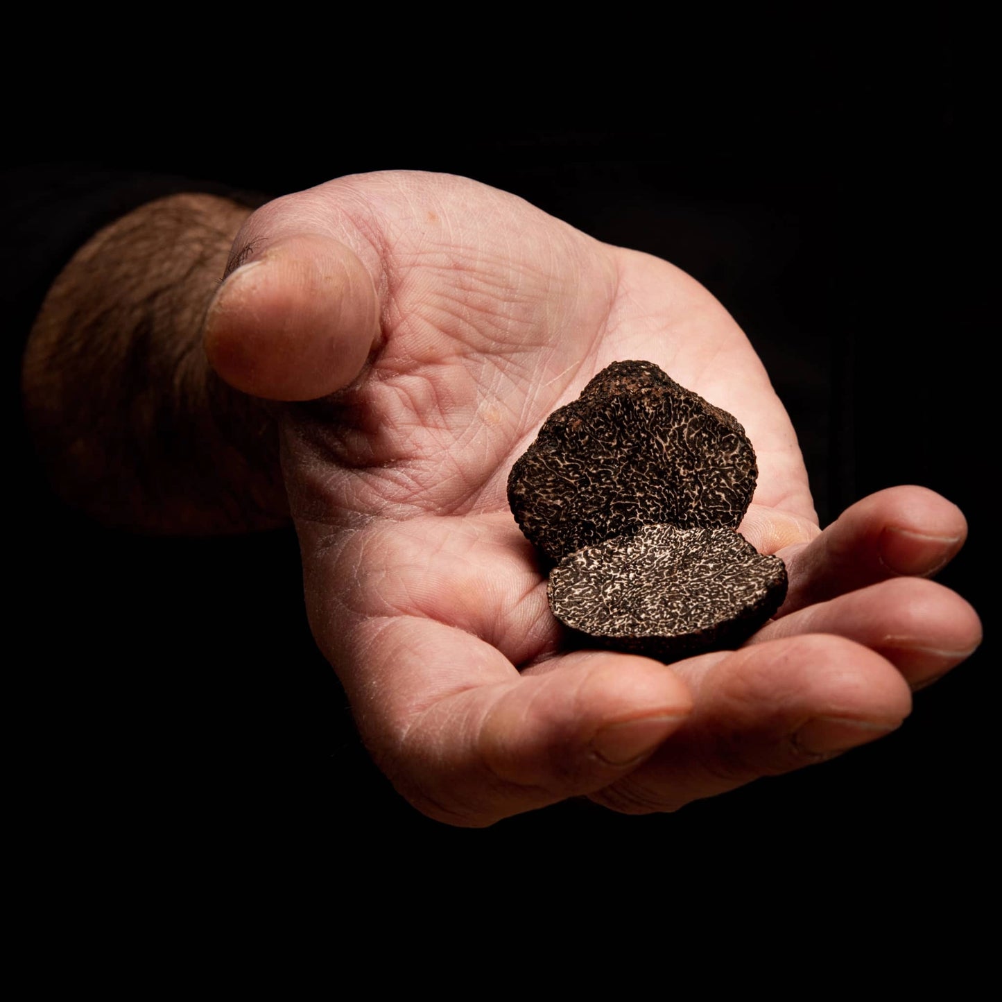 Tartufo nero pregiato(Tuber Melanosporum vitt.)