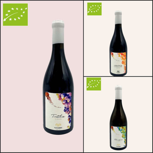 Boxwein in Amphore + in Öl