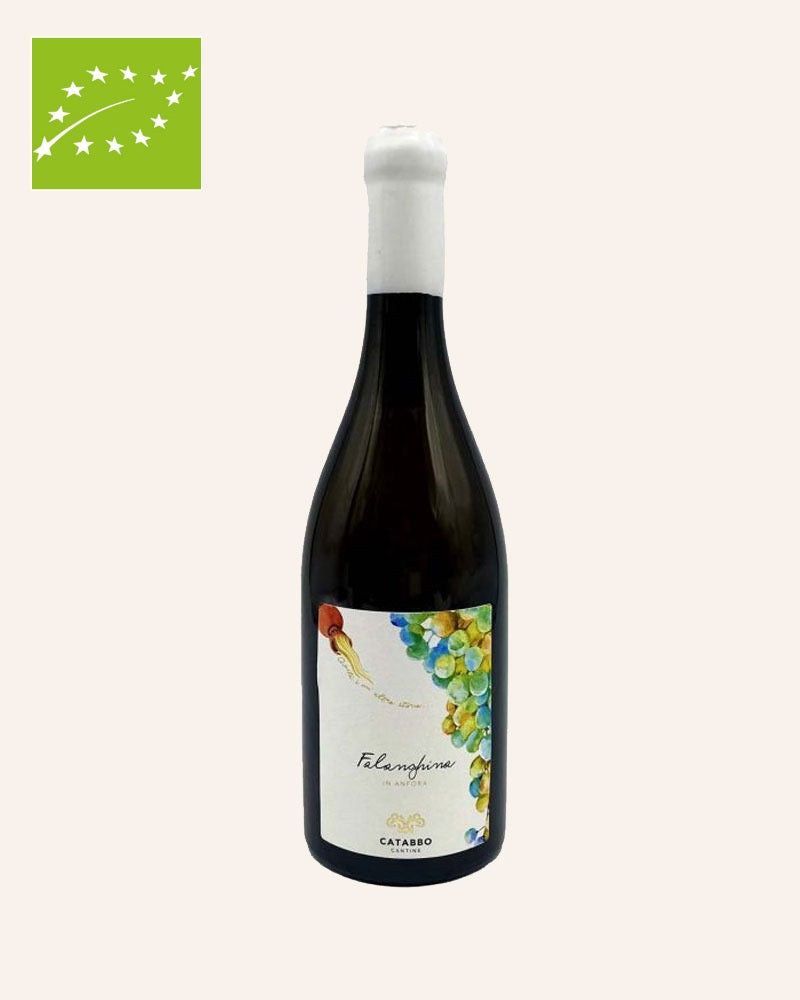 Falanghina in Amphore